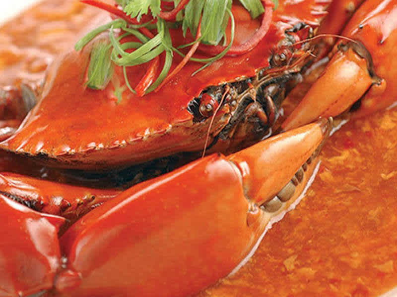 Chilli_Crab.jpg